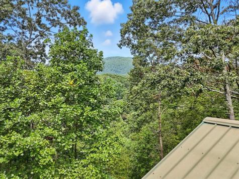 384 Mountain Laurel Drive Ellijay GA 30540