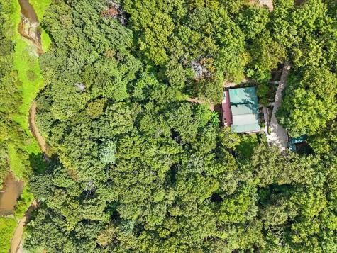 384 Mountain Laurel Drive Ellijay GA 30540