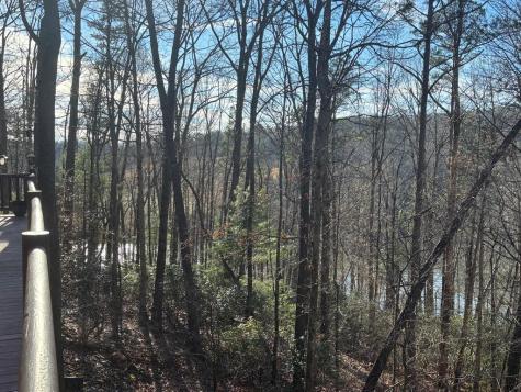 384 Mountain Laurel Drive Ellijay GA 30540