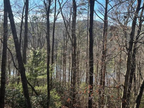 384 Mountain Laurel Drive Ellijay GA 30540