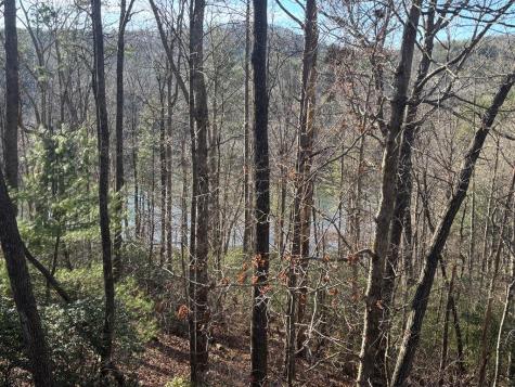 384 Mountain Laurel Drive Ellijay GA 30540