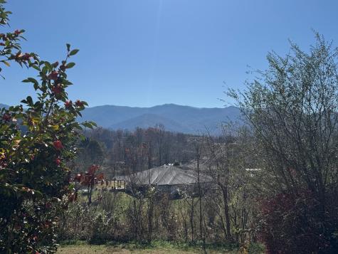 33 Teaks Drive Hayesville NC 28904