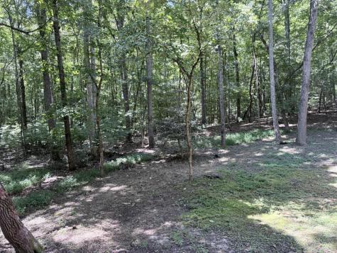 91 Hawks Nest Blairsville GA 30512
