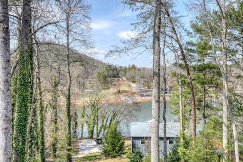 390 Bursey Road Hiawassee GA 30546