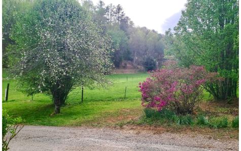 771 Piney Road Hayesville NC 28904