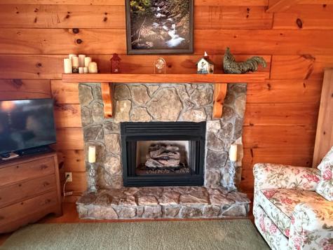 1186 Walnut Ridge Ellijay GA 30536