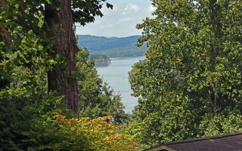 410 Lake Ridge Drive Hiawassee GA 30546