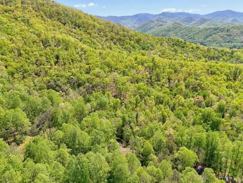8 Stoney Brook Trail Hayesville NC 28904