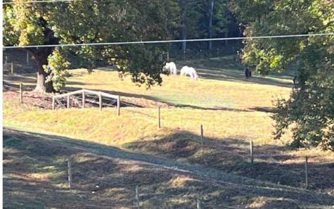 4023 Downings Creek Road Hayesville NC 28904