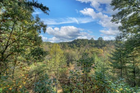 259 Old Woods Road Morganton GA 30560