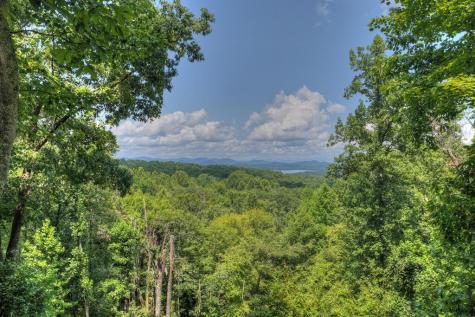 418 Lakeview Drive Blue Ridge GA 30513