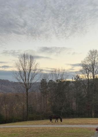 2086 Burnt Mountain Road Ellijay GA 30536