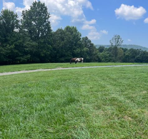2086 Burnt Mountain Road Ellijay GA 30536