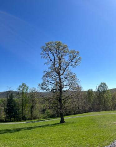 2086 Burnt Mountain Road Ellijay GA 30536