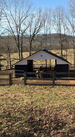 2086 Burnt Mountain Road Ellijay GA 30536