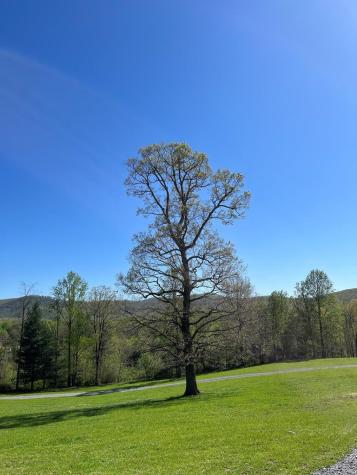 2086 Burnt Mountain Road Ellijay GA 30536