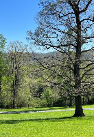 2086 Burnt Mountain Road Ellijay GA 30536