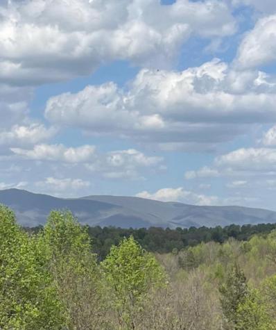 2086 Burnt Mountain Road Ellijay GA 30536