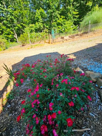 430 Tulip Lane Murphy NC 28906