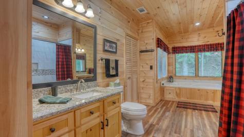 170 Dogpatch Lane Blue Ridge GA 30513