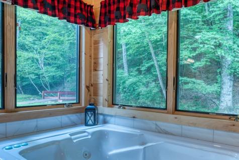 170 Dogpatch Lane Blue Ridge GA 30513