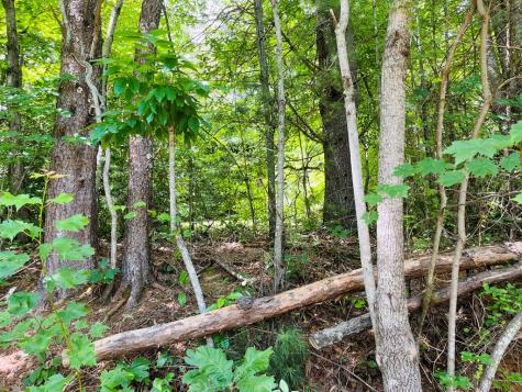 586 Pounding Mill Road Hayesville NC 28904