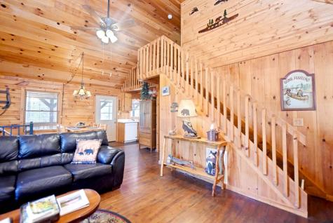 545 Laurel Circle Blue Ridge GA 30513