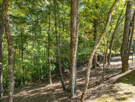15 Chinquapin Lane Murphy NC 28906