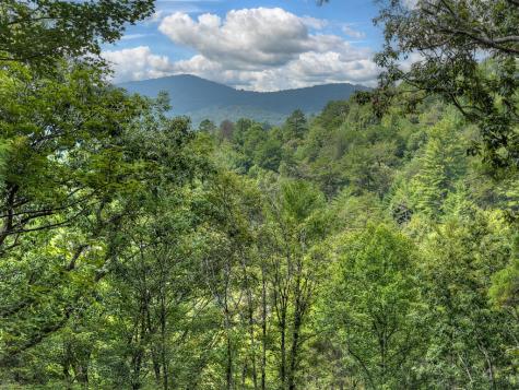 1821 Stanley Creek Road Cherry Log GA 30522