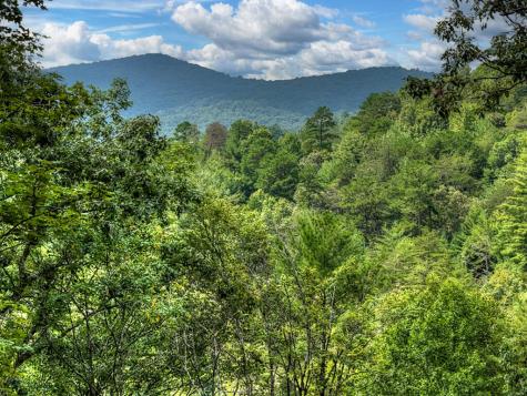 1821 Stanley Creek Road Cherry Log GA 30522