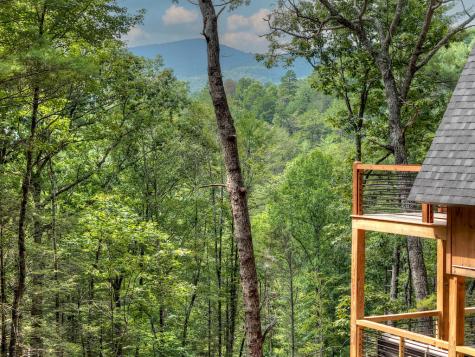 1821 Stanley Creek Road Cherry Log GA 30522