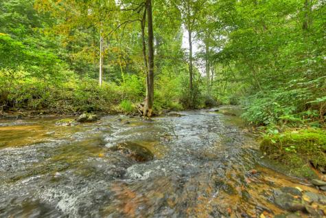 1821 Stanley Creek Road Cherry Log GA 30522