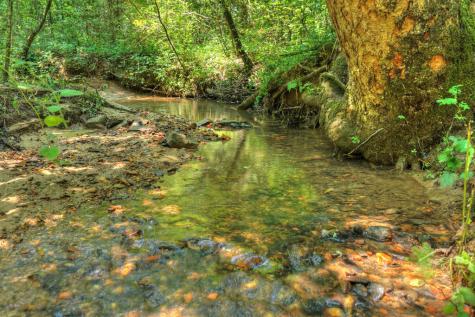 78 Green Ridge Mountain Blue Ridge GA 30513