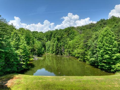81 Cornerstone Court Mccaysville GA 30555