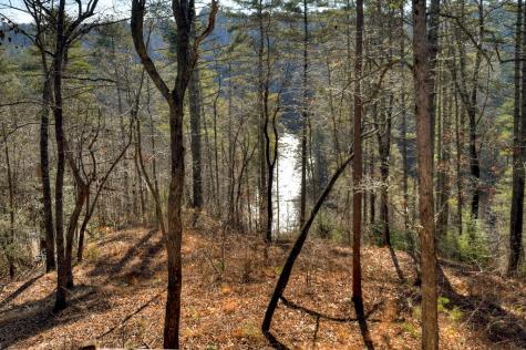 1312 Hicks Ford Road Ellijay GA 30540