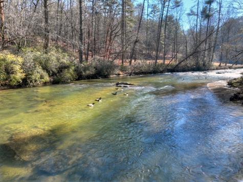 1312 Hicks Ford Road Ellijay GA 30540