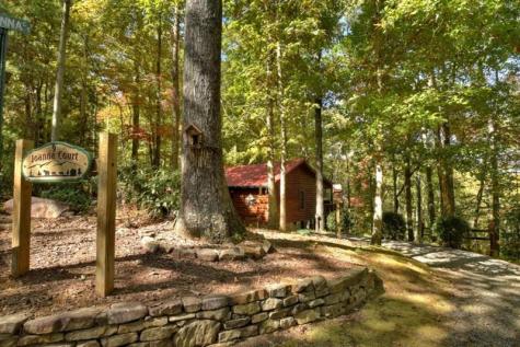 9 Joanna Court Cherry Log GA 30522