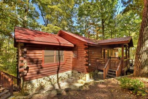 9 Joanna Court Cherry Log GA 30522