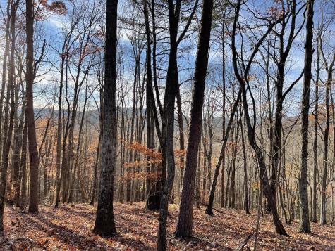 859 Hagin Circle Ellijay GA 30536