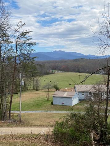 249 Shady Grove Lane Hayesville NC 28904