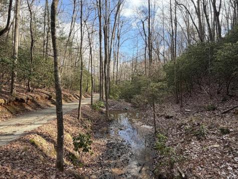 636 Bear Paw Trail Blue Ridge GA 30513