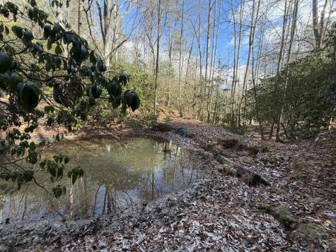 636 Bear Paw Trail Blue Ridge GA 30513