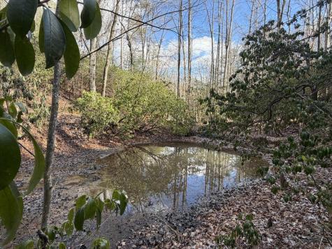 636 Bear Paw Trail Blue Ridge GA 30513