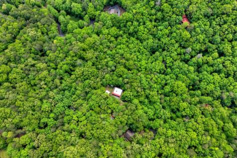 636 Bear Paw Trail Blue Ridge GA 30513