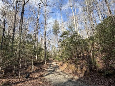 636 Bear Paw Trail Blue Ridge GA 30513