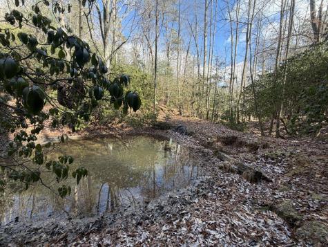 636 Bear Paw Trail Blue Ridge GA 30513