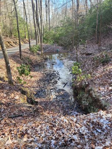 636 Bear Paw Trail Blue Ridge GA 30513