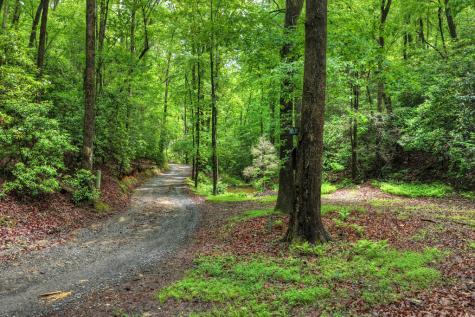 636 Bear Paw Trail Blue Ridge GA 30513