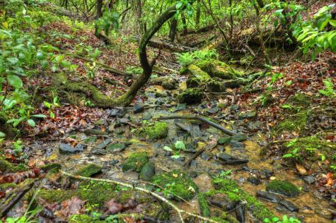 636 Bear Paw Trail Blue Ridge GA 30513