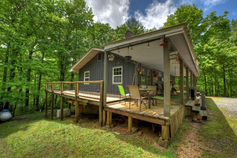 636 Bear Paw Trail Blue Ridge GA 30513